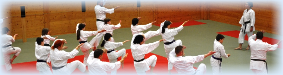 budokan